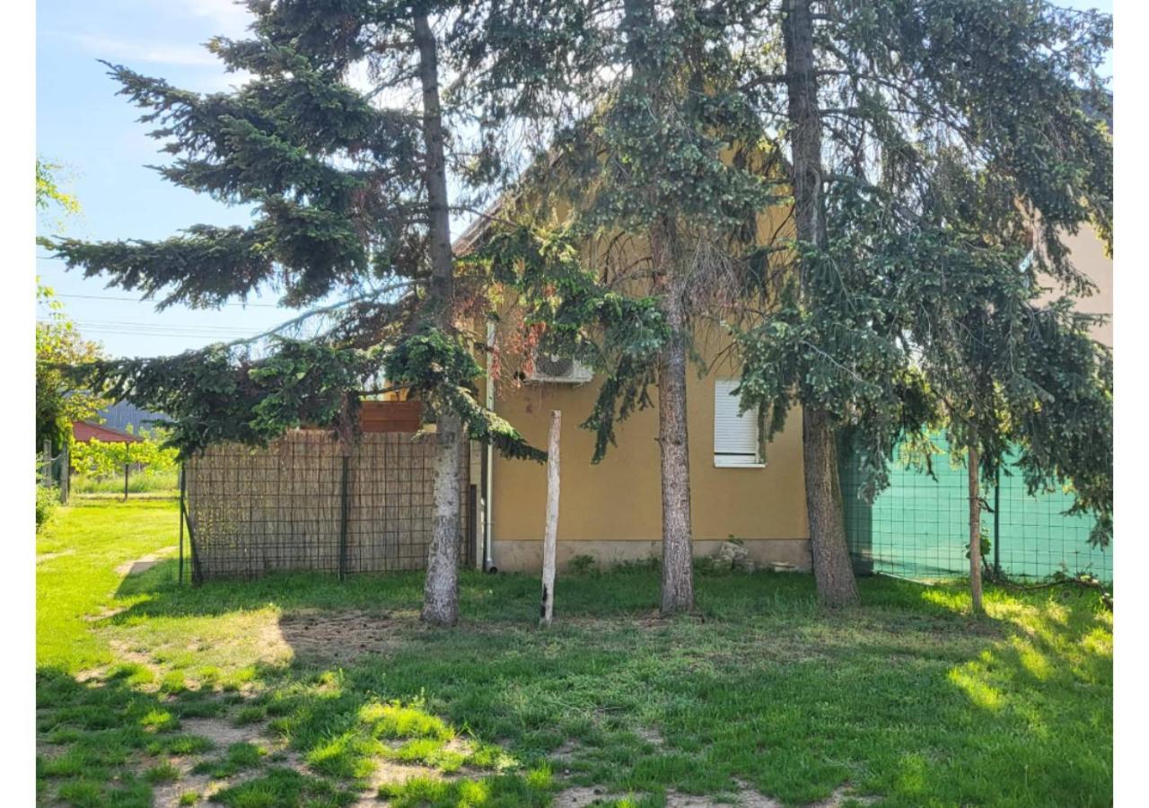 Forras Vendeghaz Apartment Tata Bagian luar foto