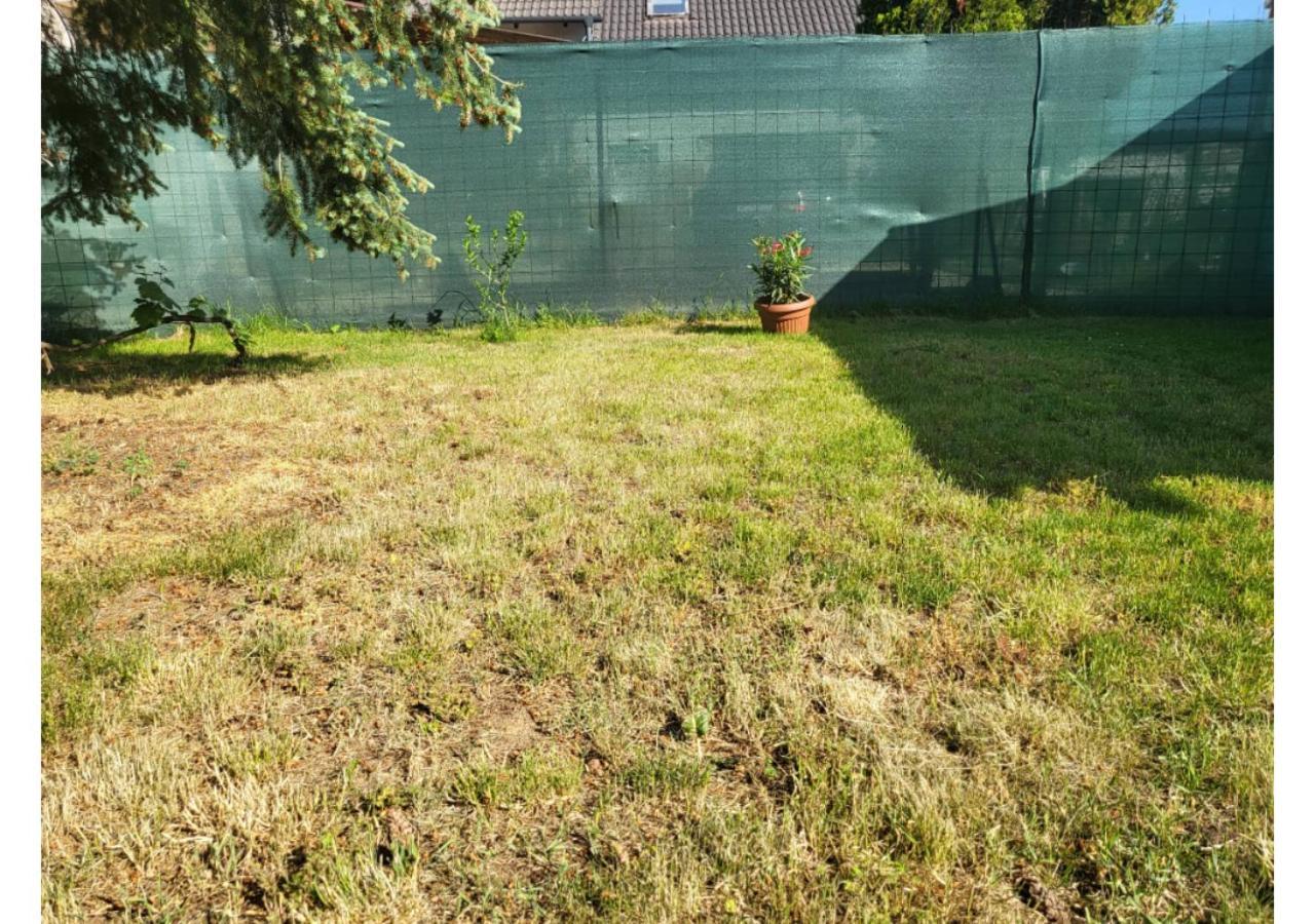 Forras Vendeghaz Apartment Tata Bagian luar foto